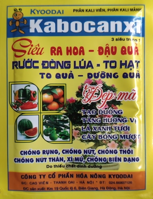 Phân bón Kabocanxi - kích ra hoa đậu quả dùng cho cây dâu tây, bầu bí, dưa chuột, đậu, cây ăn trái,..